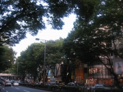 ���ߥ�å���αƶ�����ݰ��»���Ϥ�������ݰ���������ޤȤޤ�