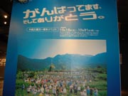 ɽ��ƻ������ۥͥ��ѥ��������̺Ұ��ǯ���٥��