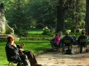 �ѥ�γ��ѡ��������θ��