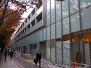 ɽ��ƻ�ҥ륺��2006ǯ����11�������ץ�