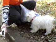 �ڥåȤȿͤ��������볹�򡡡�gentle one��