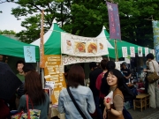 �֥������ǥ����2006�פγ�������