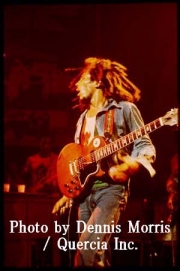 �ǥ˥�����ꥹ��ª�������ܥ֎��ޡ��꡼�Ǵ�ΰ��