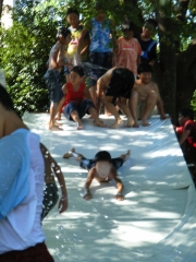 ��ʬ����Ǥ�Ǽ�ͳ��ͷ�֡��ֽ�ë�Ϥ�Τ�����ץ졼�ѡ����פβƺפ�