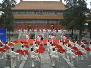 ã��Ϸ�դ�̯����ί©���ֽ�ë���˷��ޤĤ��