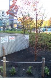 ��ë�ε֤ξ�ˡ����������Сפ��ڡ����Ȳ��ɻߤˤ�׸�����