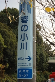 「春の小川電柱プロジェクト」 地下に眠る「渋谷川」を30本の電柱でPR