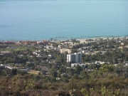 LA������ǥ���������