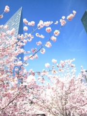 �塹�ڸ���κ���������������