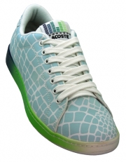 �֥饳���ơפ��⿭�̤Υ����󥦥����������Ѥ�륹�ˡ�����ȯ��