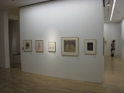 ������礬ɽ��ƻ���ǲ�Ÿ��12��12������GYRE�ǿ����