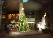 21������X�ޥ�����ߥ͡�����󡢸��ɥ������Ȥ�����Ϣư��