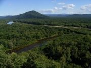 �֥������ο��ե�������ȯ­���٥�ȡ�������������������󥺥ץ饶��