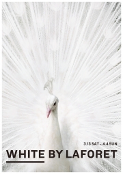 ��ե����츶�ɤǥ���å׻��äΡ֣ףȣɣԣš״�衡3��13��������ָ����