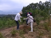 13���ˡɤ�󤴡ɤε�ǰ��������ë���ȥ���åȥ��ȥ꡼�Ĥ�