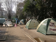 24���˵ܲ�������������������4���幩��10�����