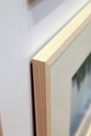 原宿のレストランでチャリティ写真展、 5月末まで森林保全活動で