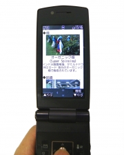 ���֥��ɲ��Ǥǥ������˥å����åȥ��衢���۾��񥬥�󥺤�6��˥ե���