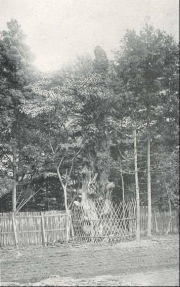 ��������90ǯ�ǥ��ߥʡ���6��26���ˡֱʱ���Τ�ᤶ���ơ�