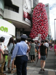 ��ե����츶�ɤΥ����볫�ϡ�15������ֺǸ�ξ���ɤ����פ�