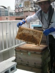 �βۻҤΥ�����Х���˪���ȡ�����ɽ��ƻ�ǼҲ�׸���