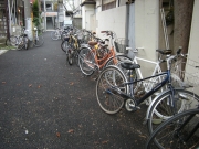 �Ķ������ѥȥ������ư������ɽ��ƻ���ꥢ�Ƿף���»ܤ�