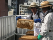 ������Х���Ź�Ǻ�̪��ȡ������ɤϤ��ߤġפǥ֥���ȯ��������