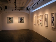 Rie Hosokai�ΥХ롼�󥢡��ȸ�Ÿ��9����ޤ�CD��ʻ���ƽ�ë��