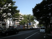 ����ɽ��ƻݰ��ˬ����Ͷ�פ��ܳʲ����������ץ��������Ȥ�