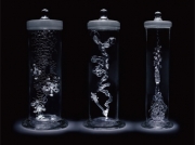 ���ѥ�����10��28�������������Τθ�Ÿ���Ļ��γ���������