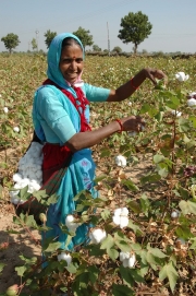 �֥ԡ��ץ롦�ĥ꡼�פ��������˥å�����Ÿ�ء�9��21��23�������ߥʡ��ˤ�