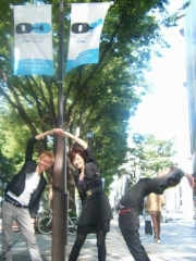 ɽ��ƻ���쥯������10����ˡ����ɤ���إ����ȥ���ȯ��