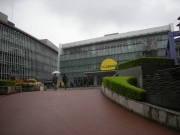 �ɤ餰�����ΤΡ�̿̾���ӥ��ͥ��ɡ���ë��Ǥ�ܲ�����ʤɤ˰ű�