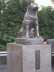 ���ĤλҶ�20̾�򾷤��ֽ�ë�θ��Ρס�11��13����14����Ʊ�¹԰Ѱ����