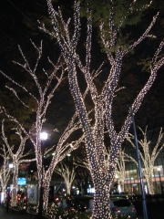 ɽ��ƻ�Υ���ߥ͡������ܹ���λ��11��26�������������å��ǰ����Ϥ�