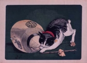 ���ĵ�ǰ���ѴۤǡֺǸ���������ա׾������Ƥ��ý�