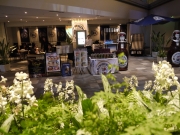 �����������֤ǥɥ��ĥӡ���򡡥ҥ륺��Special Week