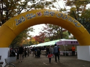 �֤դ뤵�Ƚ�ë�ե����ƥ��Х�� 3���ޤǳ��š��塹�ڸ���B�϶�ʤɡ�