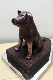 ���̣����������ϥ�������������祳�졼�ȡ���ë�ҥ��ꥨ�ʤɤǽ��Ÿ�����������ޤ�