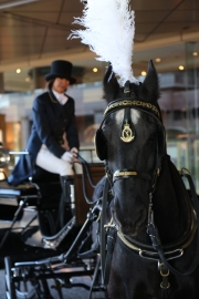 ���ȣ���ǯ�Υ������ƥ���ۥƥ�������ϼ֤Ƿ�����ʤɤ�ᤰ�륦���ǥ��󥰱�Ф��͵�