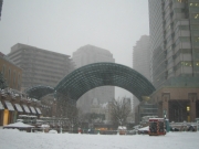 東京23区に13年ぶり大雪警報、暴風にも注意を 「無理な外出控えて」と気象庁