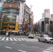 ハチ公の犬種は? 渋谷の歴史を問う「渋谷検定」 16日に実施