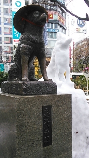 �ϥ�������Ǻ��줿�����������˵���