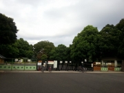 �ǥ�Ǯ�����ߤޤ餺������ë��ͽ���к��ƤӤ�����