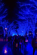 渋谷の街が幻想的空間に イルミネーションイベント来月から開催