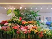 新スタイルのフラワーショップ「DILIGENCE PARLOUR」表参道